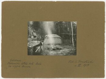 Goldowie i Oroczoni: fotografie